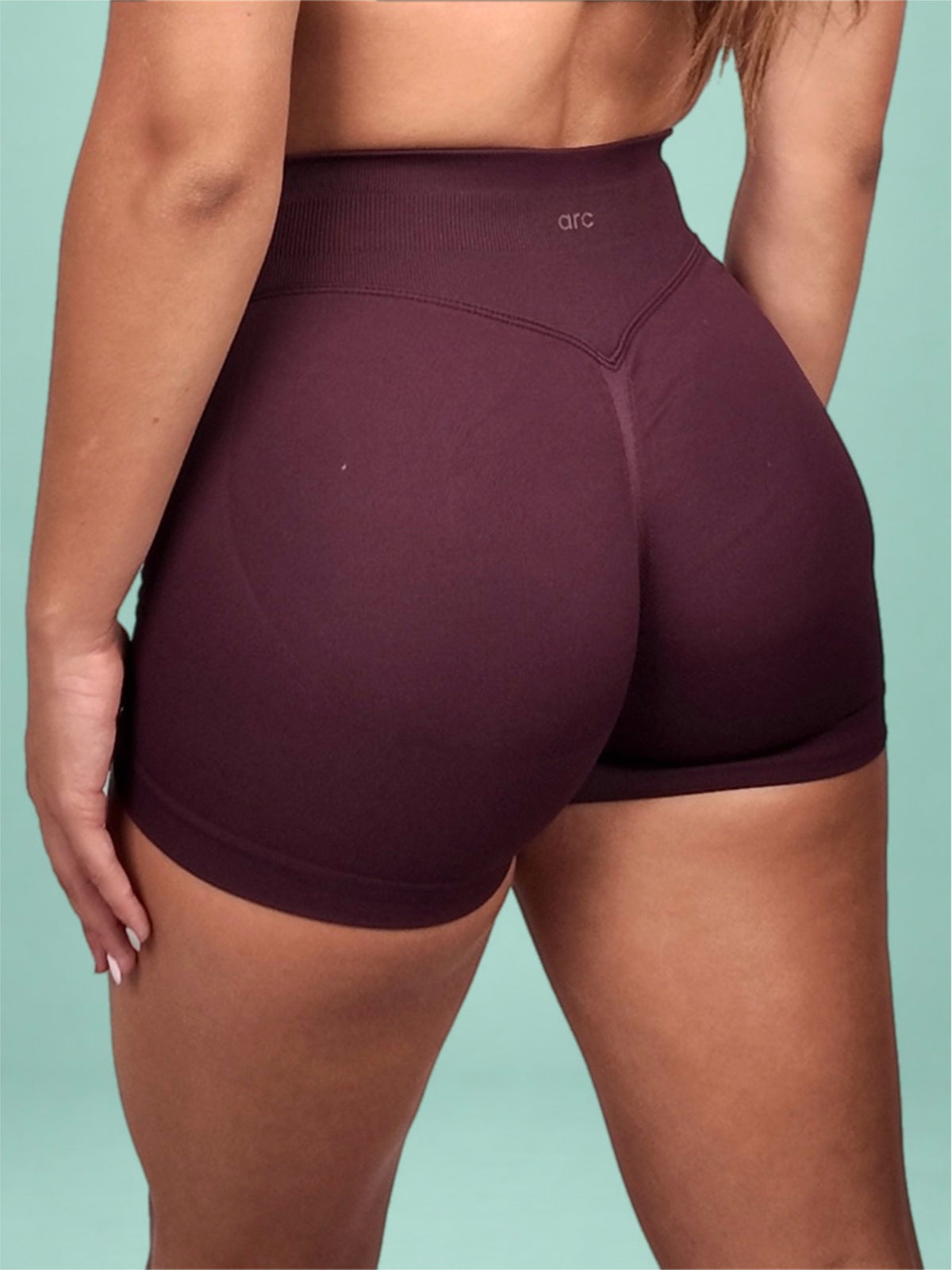 arc shorts